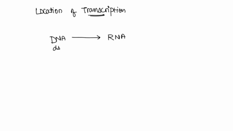 question-25-pts-transcription-occurs-when-the-dna-wants-to-make-a-working-copy-of-its-genetic-code-in-which-partof-the-cell-does-transcription-occur-onbosomes-omitochondria-ctoplasmn-eceus-55357