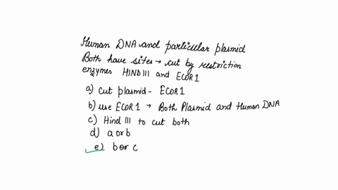 human-dna-and-a-particular-plasmid-both-have-sites-that-are-cut-by-the-restriction-enzymes-hindiii-3-49294