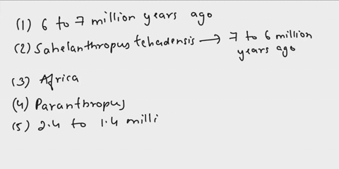 1how-long-ago-did-the-human-and-chimpanzee-lines-separate-2how-old-is-the-oldest-known-hominid-3based-on-fossil-evidencewhere-did-the-early-hominids-originate-4a-branch-off-the-australopithe-15553