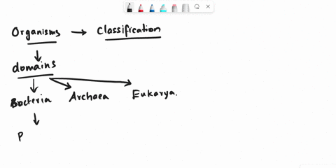 according-to-the-phylogenetic-tree-from-which-domain-did-eukarya-evolve-according-to-the-phylogenetic-tree-from-which-domain-did-eukarya-evonve-bacteria-archaca-euljcy-green-nonsuliur-bacter-86905