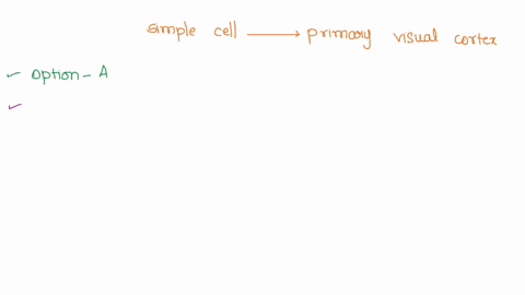 question-36-2pts-a-feature-detector-neuron-called-a-simple-cell-in-the-primary-visual-cortex-will-respond-best-by-firing-many-action-potentials-if-visual-information-that-it-receives-from-th-73807