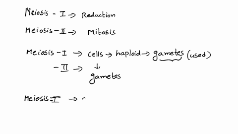 the-cells-at-the-end-of-meiosis-are-not-ready-to-function-a5-gametes-why-not-the-chromosomes-have-divided_-but-there-has-been-no-cytokinesis_-they-are-haploid-but-the-chromosomes-are-still-i-21842