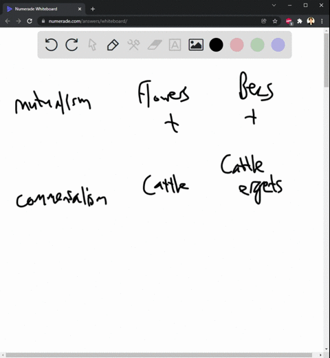 complete-the-table-below-by-providing-a-specific-example-of-organisms-involved-in-each-of-these-interactions-also-indicate-a-or-neutral-to-describe-how-each-of-these-interactions-affects-eac-39063