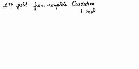 the-number-of-atp-produced-during-aerobic-cellular-respiration-from-one-glucose-molecule-is-0-2-4-0-26-28-10-20_-0410-12-54766