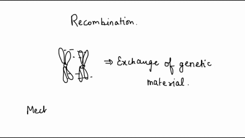 explain-why-recombination-events-do-not-always-result-in-crossing-over-23393