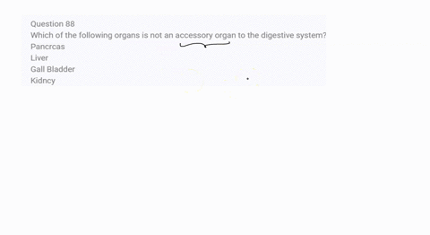 question-88-which-of-the-following-organs-is-not-an-accessory-organ-to-the-digestive-system-pancrcas-liver-gall-bladder-kidncy-17288