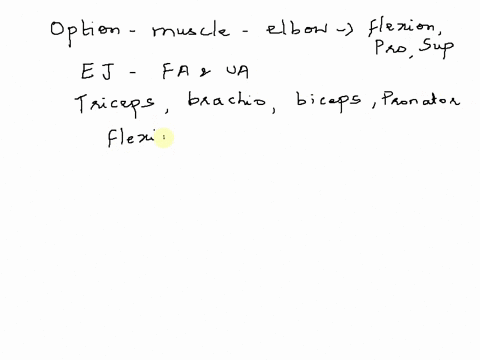 what-muscle-of-the-elbow-joint-complex-is-involved-in-flexion-supination-and-pronation-brachioradialis-biceps-brachii-brachialis-01084