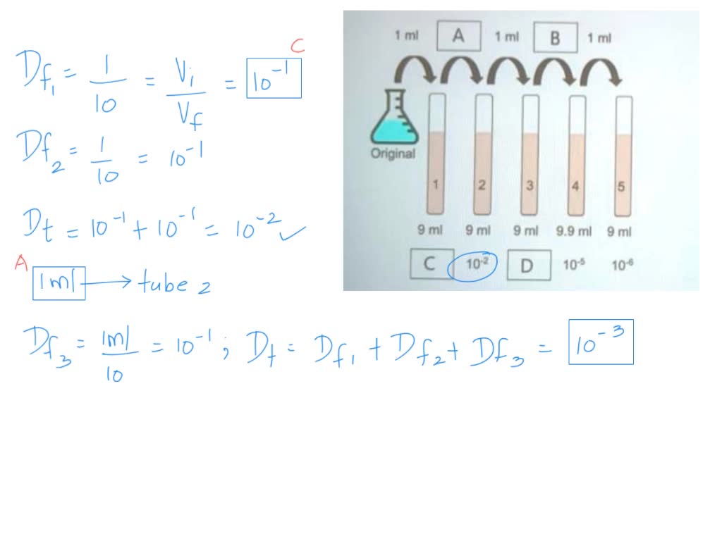 SOLVED 2021 Microbiology Dilution Series Packet Name Social Security