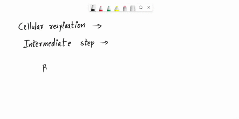 what-are-the-carbon-products-of-the-intermediate-step-from-one-molecule-of-glucose-in-cellular-respiration-2-acetyl-coa-and-2-co2-2-pyruvate-and-2-co2-1-pyruvate-and-1-coz-2-pvruvate-04coz-0-70958