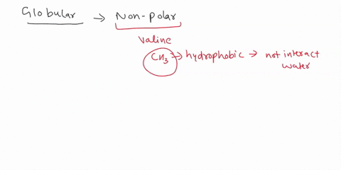 where-in-a-soluble-globular-protein-would-you-expect-to-find-a-nonpolar-ie-hydrophobic-amino-acid-like-valine-a-on-the-surface-accessible-to-water-molecules-b-in-the-interior-of-the-protein-83253