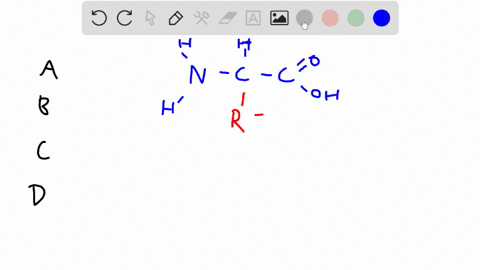an-amino-acid-has-an-r-group-that-is-negatively-charged-at-cellular-ph-which-of-the-following-categories-would-best-describe-it-a-acidic-b-basic-uncharged-and-polar-d-nonpolar-33747