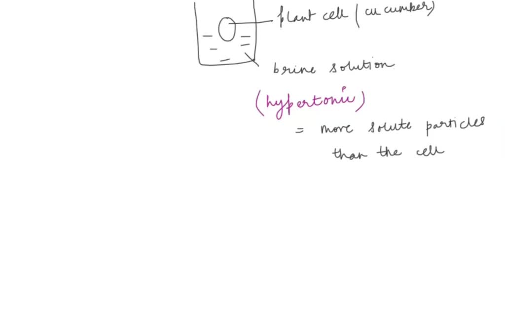 SOLVED Making pickles Cucumbers can be turned into pickles by placing cucumbers into a very