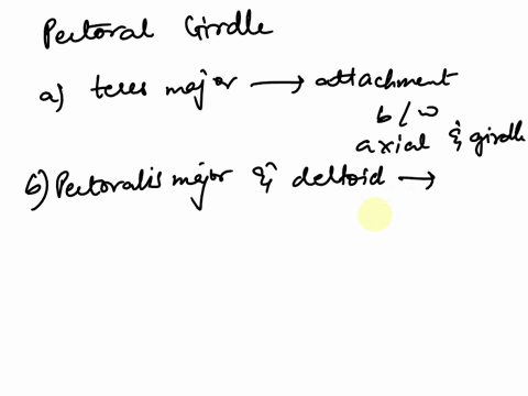 with-regard-to-the-pectoral-girdle-select-one-a-teres-major-provides-attachment-between-the-axial-skeleton-and-the-girdle-b-pectoralis-major-and-deltoid-are-the-only-muscular-attachments-bet-14197
