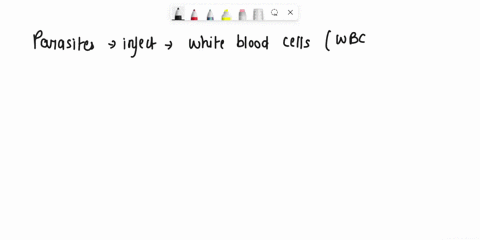 question-20-select-all-of-the-following-parasites-that-can-infect-white-blood-cells-entamoeaba-histolytica-naeglaria-fowleri-plasmodium-vivax-trypanosoma-bruceii-leishmania-spp-schiaslosoma-55278