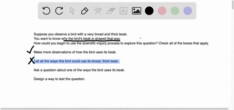 suppose-you-observe-a-bird-with-a-very-broad-and-thick-beak-you-want-to-know-why-the-birds-beak-is-shaped-that-way-how-could-you-begin-to-use-the-scientific-inquiry-process-to-explore-this-q-23389