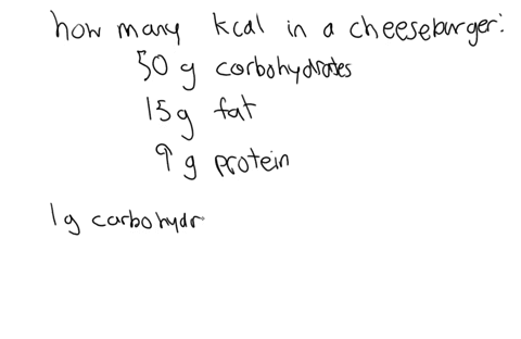 16-how-many-kilocalories-are-in-cheeseburger-g-of-fat-and-9-g-of-protein-4-points-that-contains-50-g-of-carbobydrate-15-63278