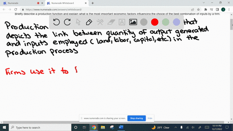 briefly-describe-a-production-function-and-explain-what-is-the-most-important-economic-factors-influencing-the-choice-of-the-best-combination-of-inputs-by-a-firm-3
