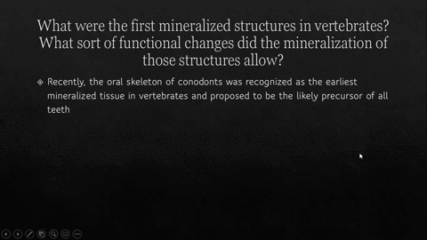 1-what-were-the-first-mineralized-structures-in-vertebrates-what-sort-of-functional-changes-did-the-mineralization-of-those-structures-allow-2-describe-reptile-features-that-are-adaptive-for-70902