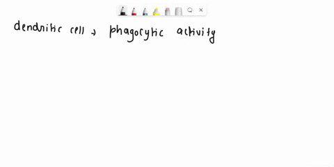 question-1-which-of-these-cells-do-not-have-phagocytic-activity-dendritic-cells-neutrophils-b-cells-macrophages-52119