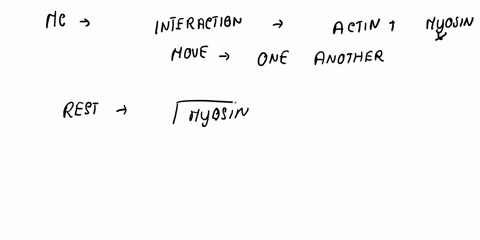 how-does-actin-and-myosin-work-together-to-help-you-lift-an-object-99927