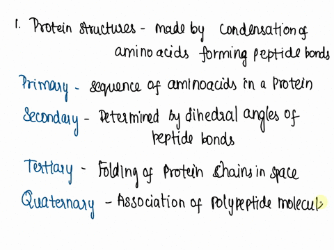 bio-211-name-midnight-chapter-8-proteomics-due-wednesday-62420120-represents-primary-secondary-tertiary-or-ol-the-structures-below-identily-which-quaternary-structure-2n-are-important-for-pr-31053