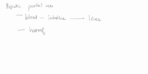 the-hepatic-portal-vein-carries-blood-from-intestine-to-liver-before-it-is-delivered-to-the-systemic-circulation-does-that-mean-hepatic-portal-vein-isnt-a-part-of-systemic-circulation-62478