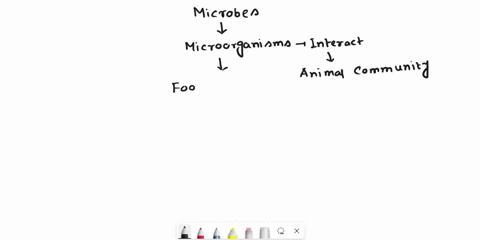which-of-the-following-statements-is-true-o-microorganisms-are-too-small-to-be-can-be-genetically-microorganisms-are-unable-to-synthesize-many-different-chemicals-including-antibiotics-omicr-17808