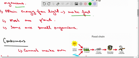 draw-and-explain-the-relationship-between-producers-and-consumers-including-decomposers-43278