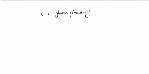 which-of-the-following-enzymes-catalyzes-the-formation-of-a-sugar-nucleotide-udp-glucose-phosphorylase-glycogenin-pyruvate-carboxylase-elycogen-phosphorylase-14725