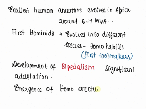 summarize-the-events-and-forces-that-shaped-human-evolution-24582