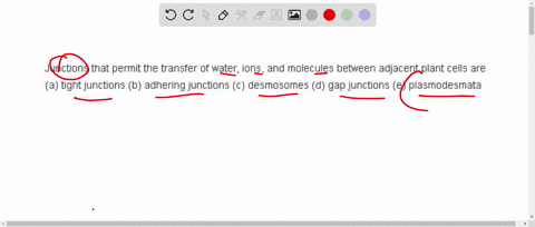 junctions-that-permit-the-transfer-of-water-ions-and-molecules-between-adjacent-plant-cells-are-a-5-40837