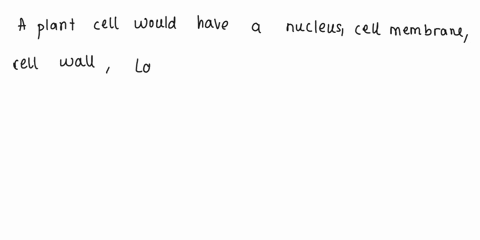 which-of-the-following-would-a-plant-cell-have-select-all-that-apply-nucleus-cell-membrane-cell-wall-large-vacuole-chloroplast-endoplasmic-reticulum-nucleoid-region-19269