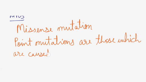 question-12-point-mutation-that-does-not-result-in-change-in-the-amino-acid-sequence-of-protein-called-frameshift-mutation-missense-mutation-silent-mutation-nonsense-mutation-question-13-an-85121