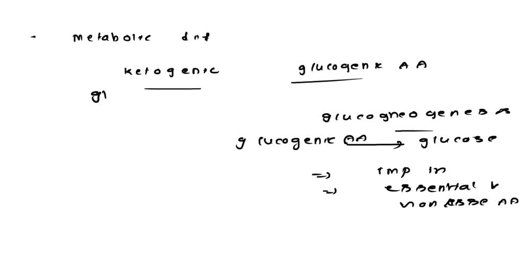 SOLVED What is the metabolic difference between ketogenic and