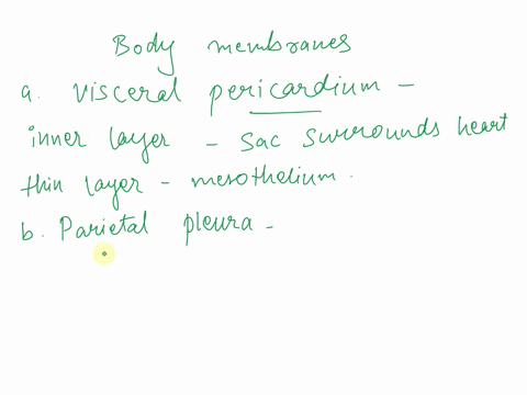simple-definitions-for-physiologyi-ng-terms-labeling-body-membranes-gvisceral-pericardium-hparietal-pleura-parietal-peritoneum-visceral-pleura-memone-38008