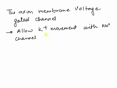 the-opening-of-axon-membrane-voltage-gated-potassium-channels-is-responsible-for-which-part-of-the-action-potential-group-of-answer-choices-repolarization-of-the-membrane-depolarization-of-t-13336