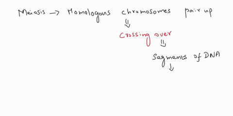 which-process-must-the-cell-undergo-to-have-genetically-different-cells-at-the-end-of-cell-division-44258