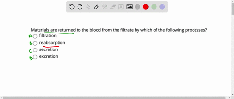 question-18-materials-are-returned-to-the-blood-from-the-filtrate-by-which-of-the-following-processes-filtration-reabsorption-secretion-excretion-12425