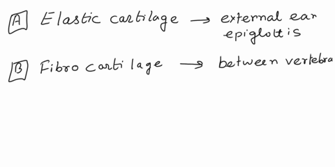 select-all-the-forms-of-skeletal-cartilage-a-elastic-b-fibrocartilage-c-ligaments-d-hyaline-32354