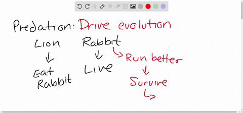 list-the-five-interactions-between-species-competition-predation-parasitism-commensalism-and-mutualism-explain-the-evolutionary-importance-of-each-and-an-example-10-points-answer-should-be-l-60507