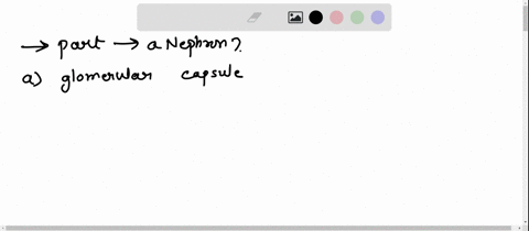 21-which-of-the-following-is-part-of-a-nephron-aglomerular-capsule-b-proximal-and-distal-convoluted-collecting-tubules-cloop-of-the-nephron-dll-of-these-are-parts-of-a-nephron-a-glomerular-c-36178