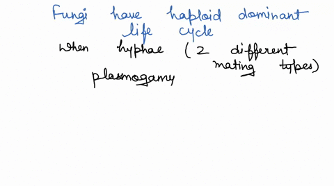 fungi-have-haploid-dominant-life-cycle-in-which-growth-is-accomplished-through-meiosts-when-select-of-iwo-different-mating-types-fuse-during-select-the-resuiting-cell-is-select-select-result-89716