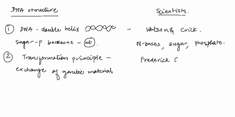 dna-is-a-double-helix-that-is-formed-by-a-sugar-phosphate-backbone-and-complimentary-base-pairing-between-nucleotides-beadle-and-tatum-the-transformation-principle-allows-for-exchange-of-her-28867