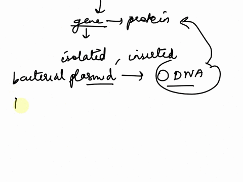 explain-the-steps-of-producing-a-human-protein-from-bacteria-discuss-the-advantages-over-using-human-cells-for-this-purpose-47537