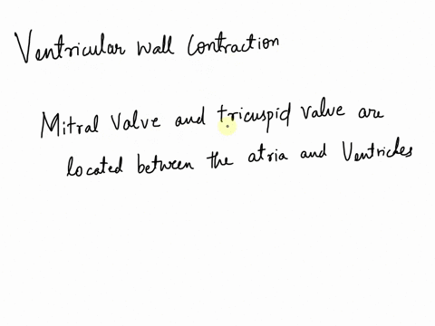 when-the-ventricular-walls-contract-multiple-choice-the-tricuspid-valve-opens-and-the-mitral-valve-closes-the-mitral-valve-opens-and-the-tricuspid-valve-closes-the-mitral-and-tricuspid-valve-10128