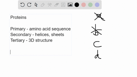 which-of-the-following-statements-is-incorrect-amino-acid-sequence-determines-the-3d-structure-of-a-protein-correct-folding-of-a-polypeptide-chain-requires-the-formation-of-noncovalent-bonds-85285