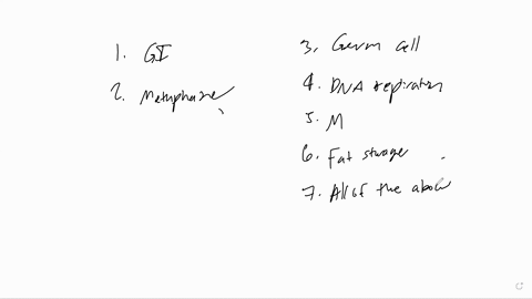 objectives-observe-the-different-stages-of-cell-division-generate-predictions-about-the-length-of-time-spent-in-each-stage-of-mitosis-introduction-in-this-lab-we-will-observe-a-cross-section-37554