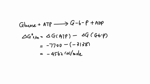 the-46-of-hydrolysis-of-atp-tph-qnd-358-is-7700-ccl-mol-cosbeen-the-ag-hyorolysis-af-glocose-and-a586-plzosphate-t-ph-7-5-3138-cll-ao-fron1-this-caleulate-informafion-e-46-ana-keq-for-tbe-ra-39815