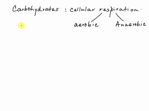 part-a-carbohydrates-are-burned-in-cellular-respiration-for-the-purpose-of-producing-oxygen_-energy-for-the-cell-water-carbon-dioxide-sugars-submit-request-answer-01847