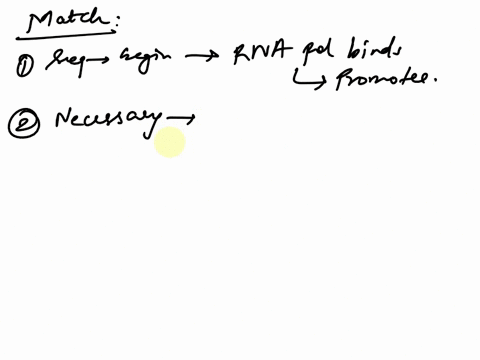 match-each-term-to-its-definition-a-sequence-of-nucleotides-at-the-beginning-of-gene-where-rna-polymerase-binds-choose-choose-reverse-transcriptase-proteins-that-are-necessary-for-rna-polyme-81392